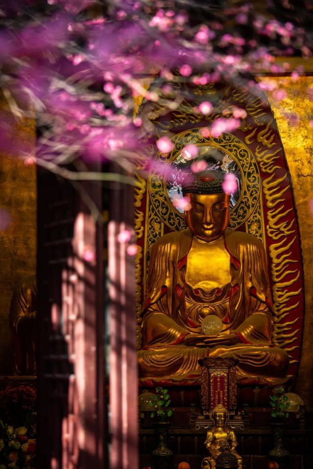 湖州铁佛寺旅行图片 3