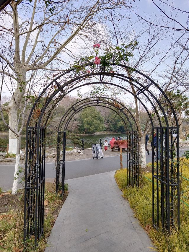 上海鲁迅公园旅行图片 10