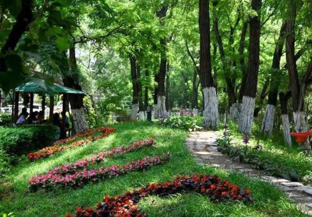 皇姑北塔公园旅行图片 3