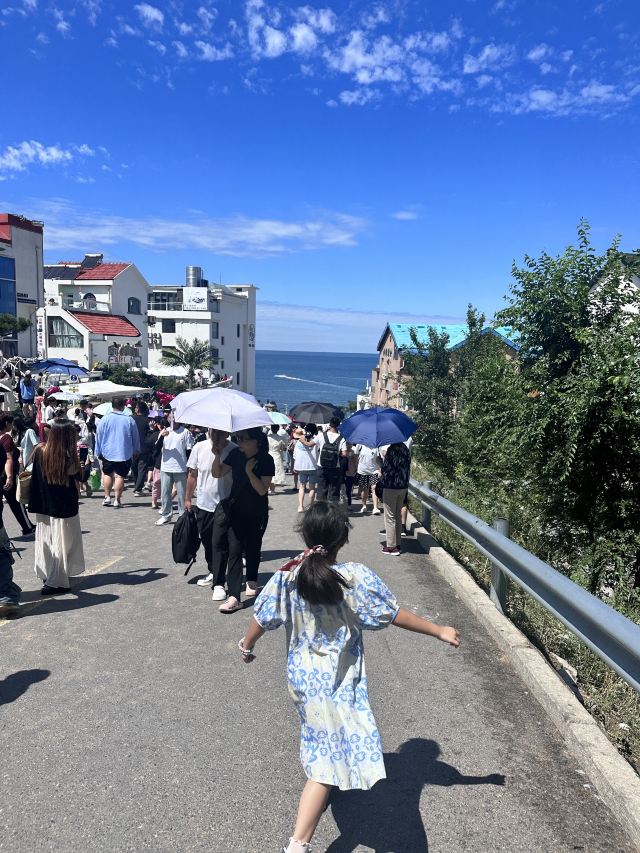 火炬八街旅行图片 1