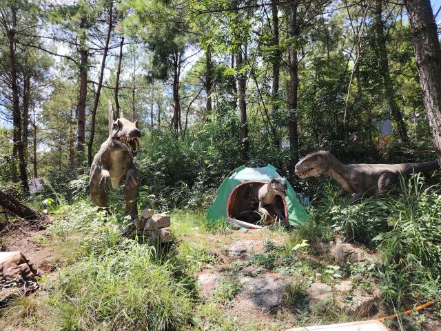贵州·羊驼小镇旅游景区旅行图片 3