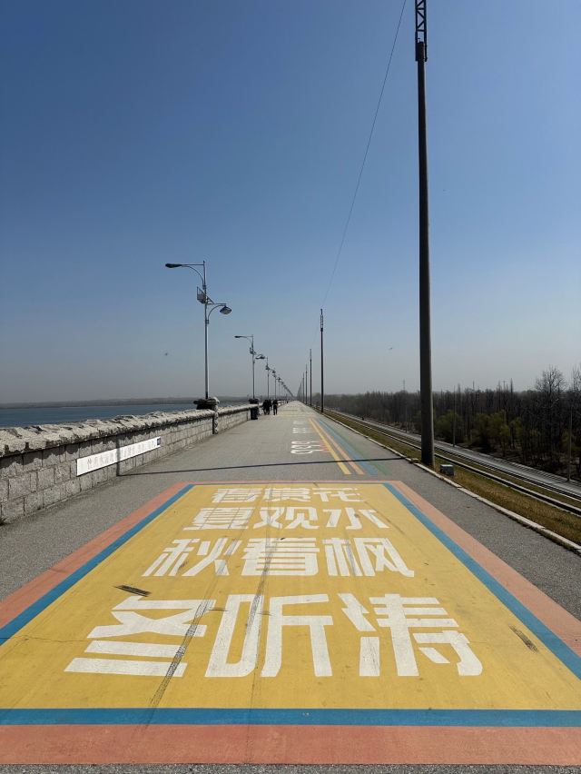 湖滨公园-莱西湖生态休闲区旅行图片 8