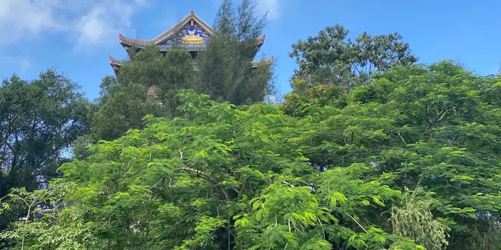 永安旅遊