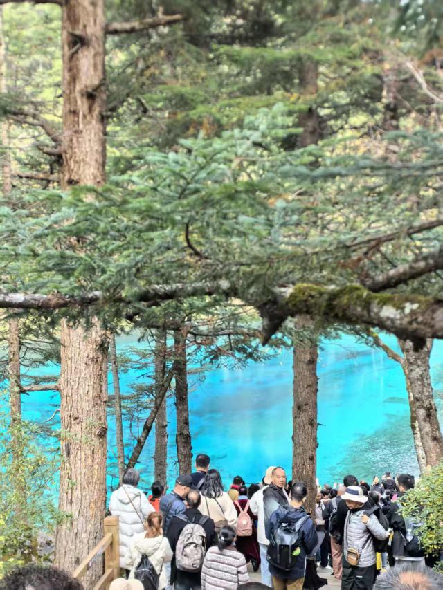 九寨沟景区五彩池观景台旅行图片 1
