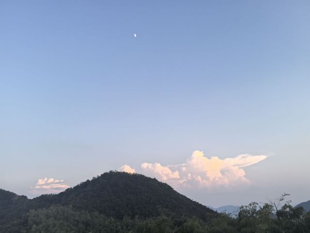 莫干山江南瑶坞旅游度假区旅行图片 6