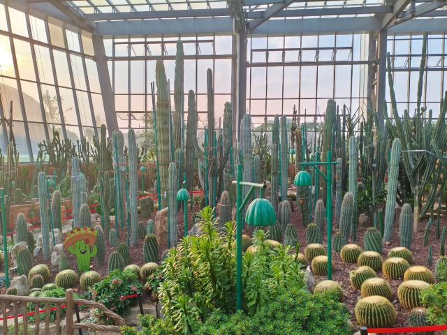 南昌珍奇植物园旅行图片 2