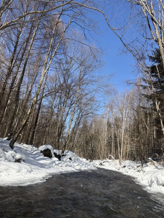 长白山西麓白溪全域漂流风景区旅行图片 2