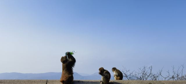 花果山风景区旅行图片 5