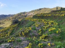 婺源-郭润龙浪迹天涯