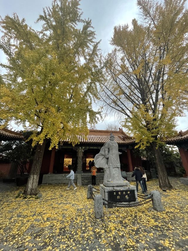 彭城广场旅行图片 7