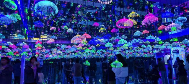 邯郸·海洋世界旅行图片 3