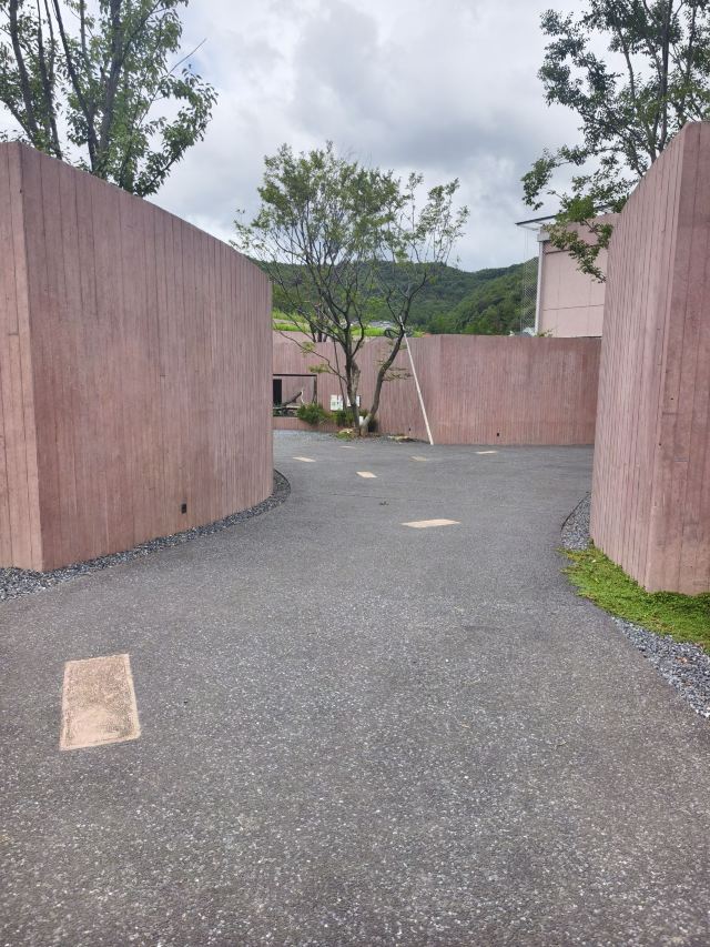 千鹦鸟舍鹦鹉主题乐园旅行图片 9