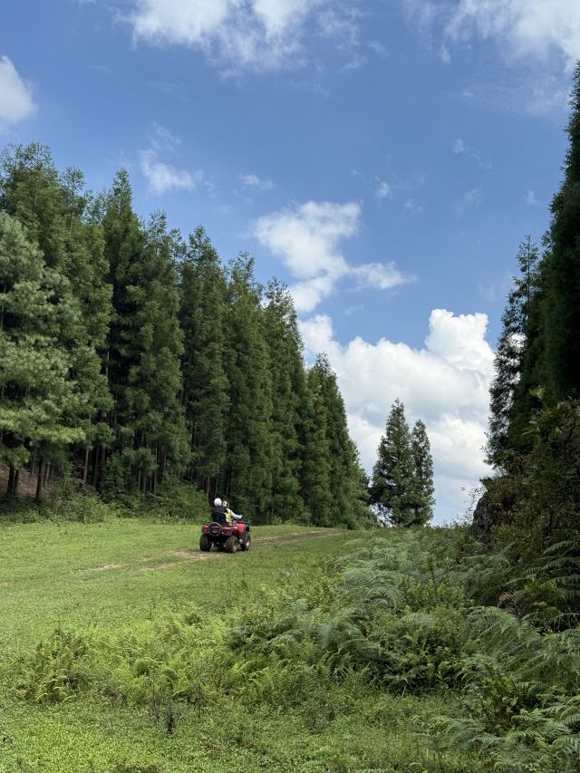 水城国家杜鹃公园旅行图片 6