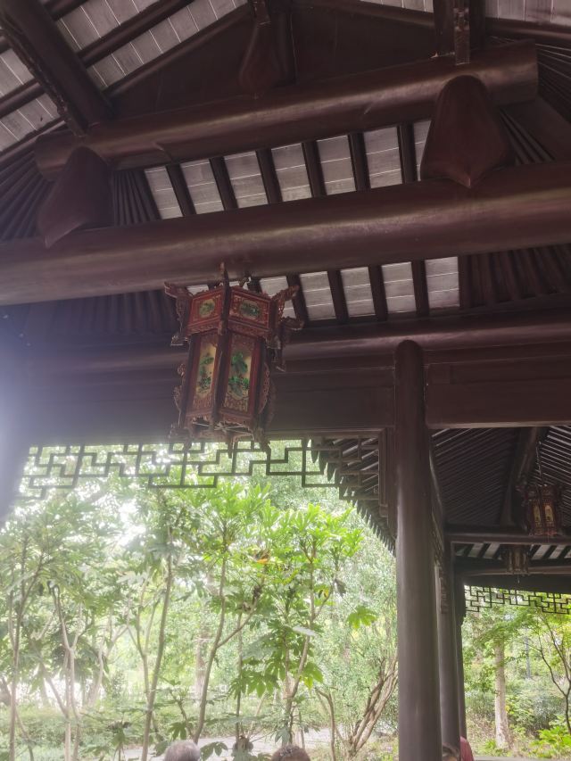 亭林园旅行图片 5