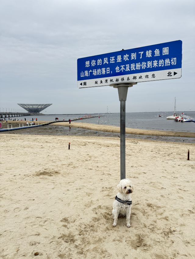 山海广场旅行图片 2