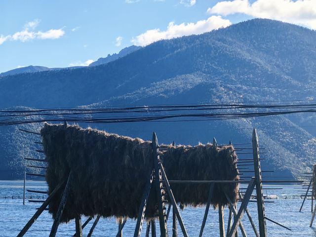 纳帕海大草原旅游景区旅行图片 4