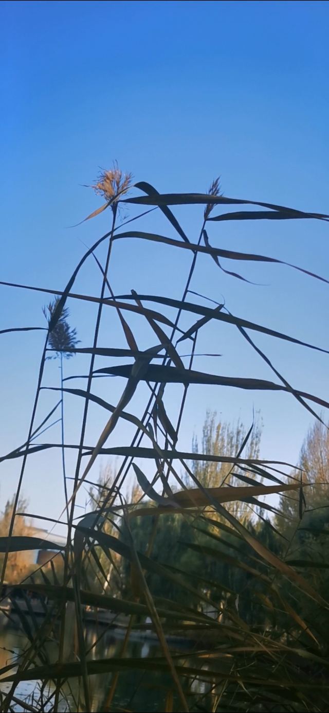 西汉酒泉胜迹旅行图片 4