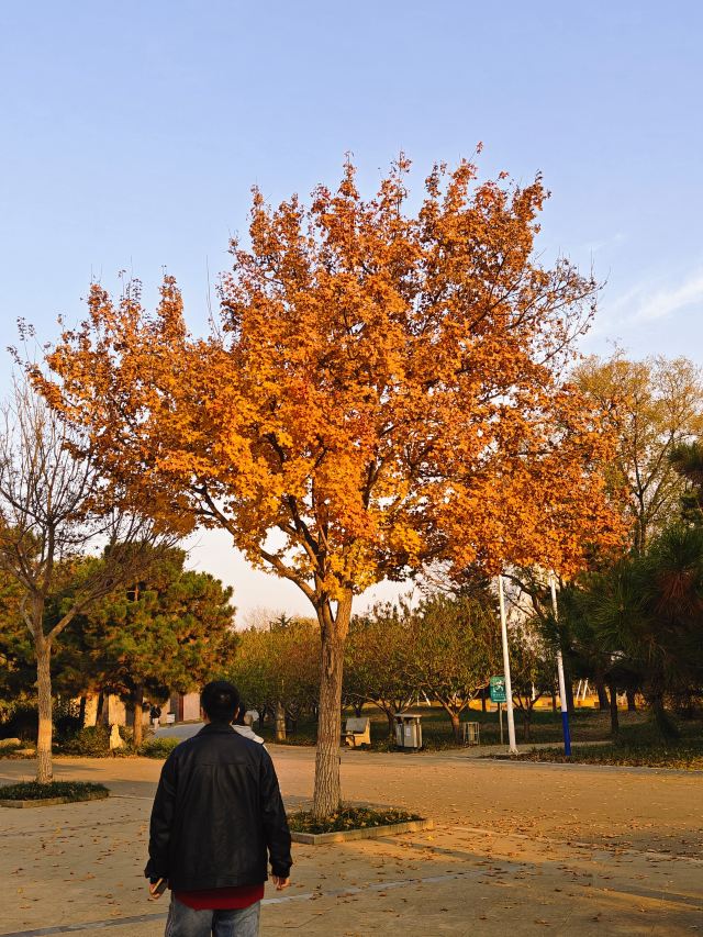 石家庄植物园旅行图片 5