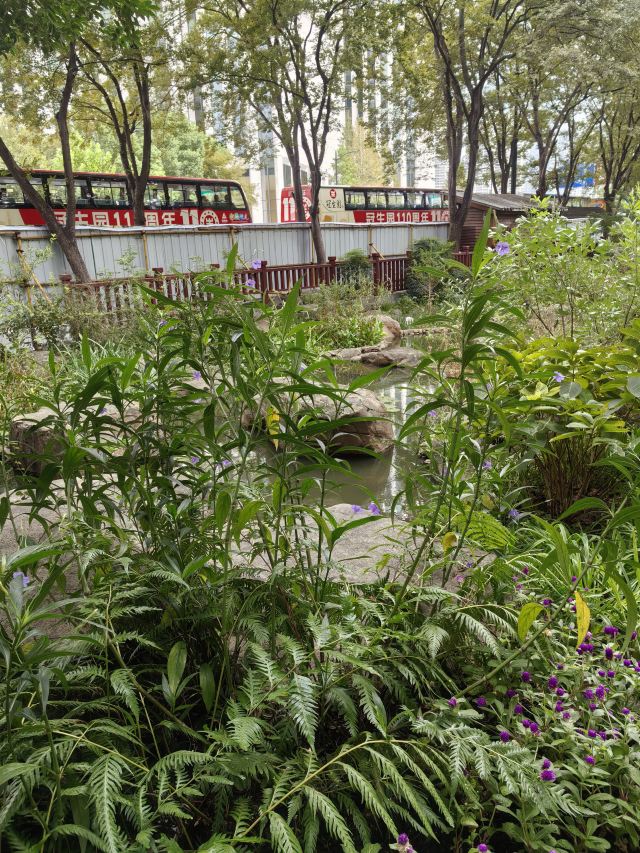 古城公园旅行图片 1