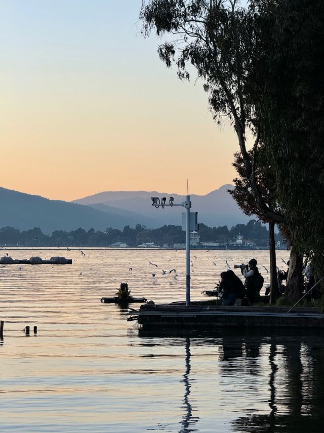 海洪湿地泼水广场旅行图片 4