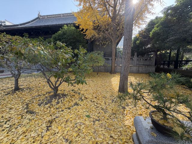 清晏园旅行图片 6