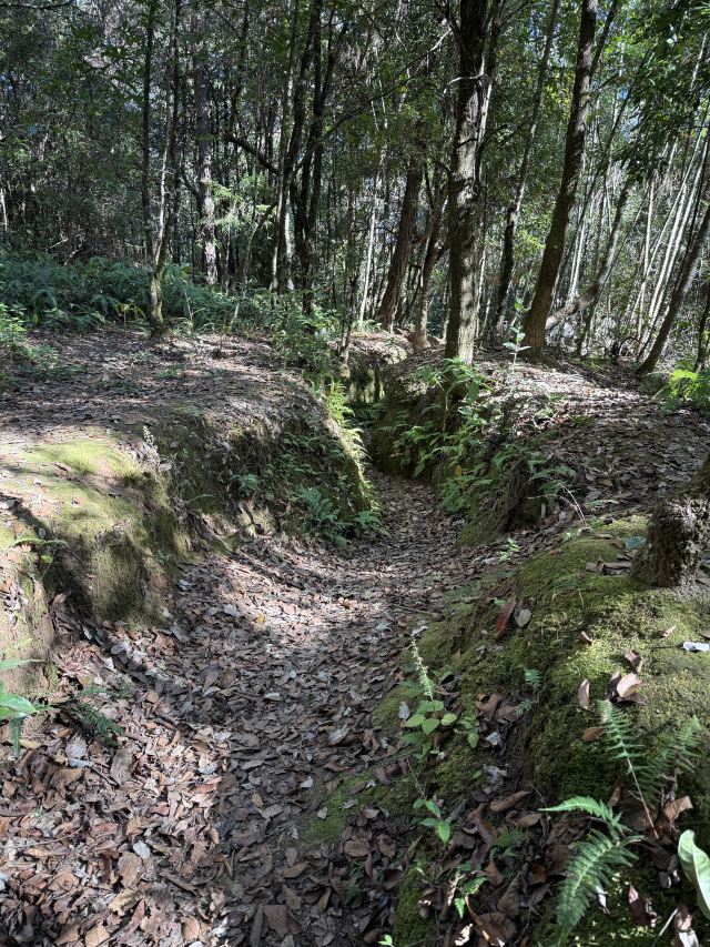 松山抗战遗址旅行图片 2