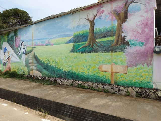 松柏村樱花园(网红打卡点)旅行图片 6