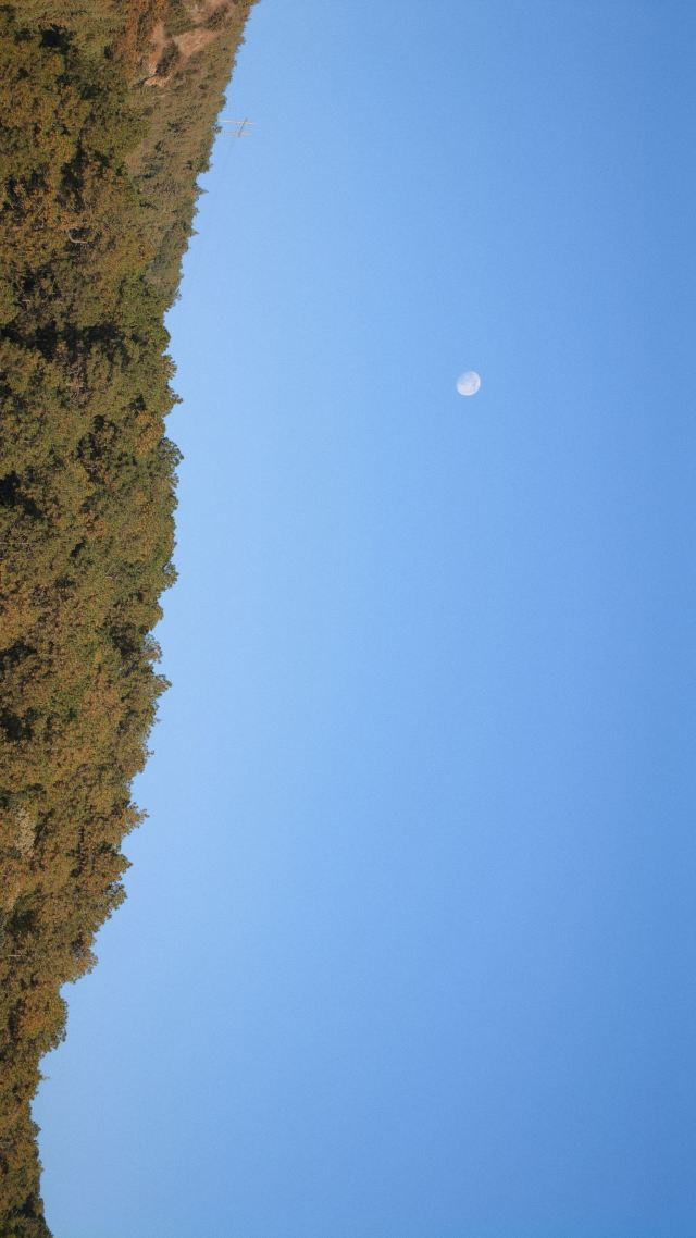 黑龙潭旅行图片 11