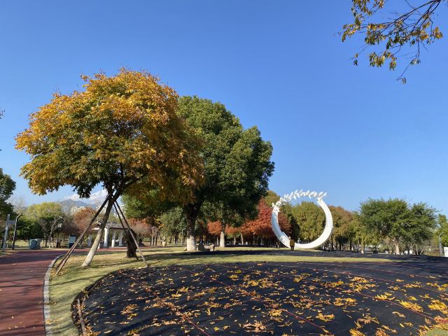 乐清市清和公园旅行图片 4