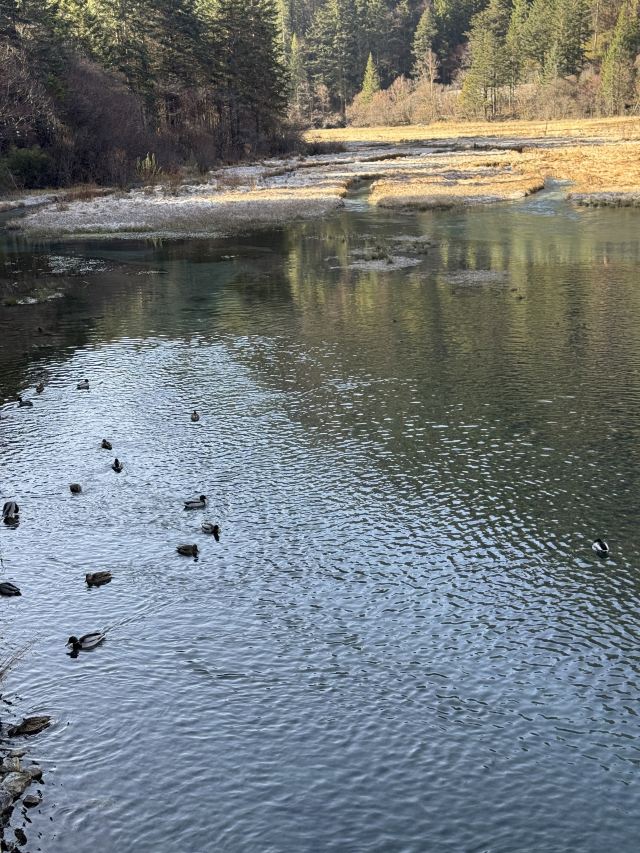 箭竹海下车点旅行图片 2