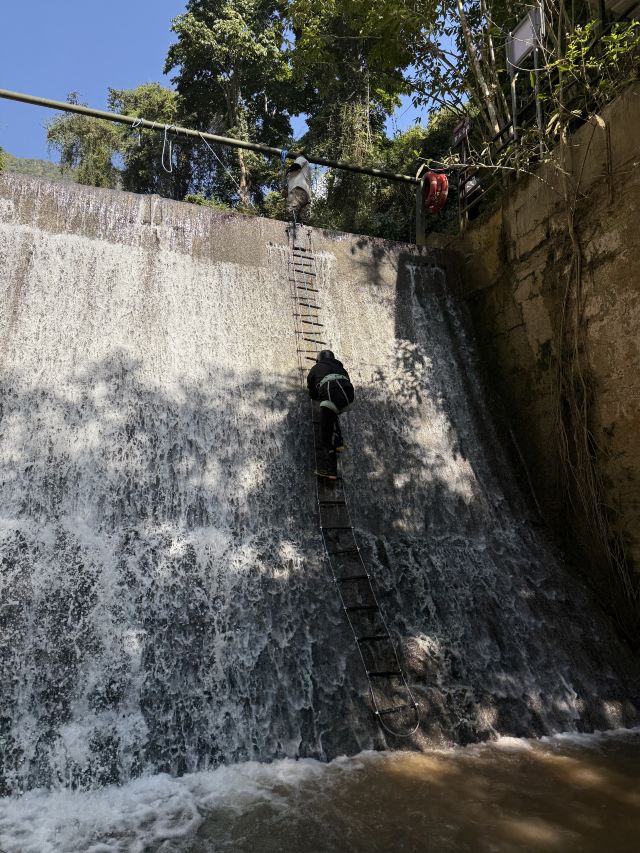 基诺山幽河谷雨林旅行图片 3