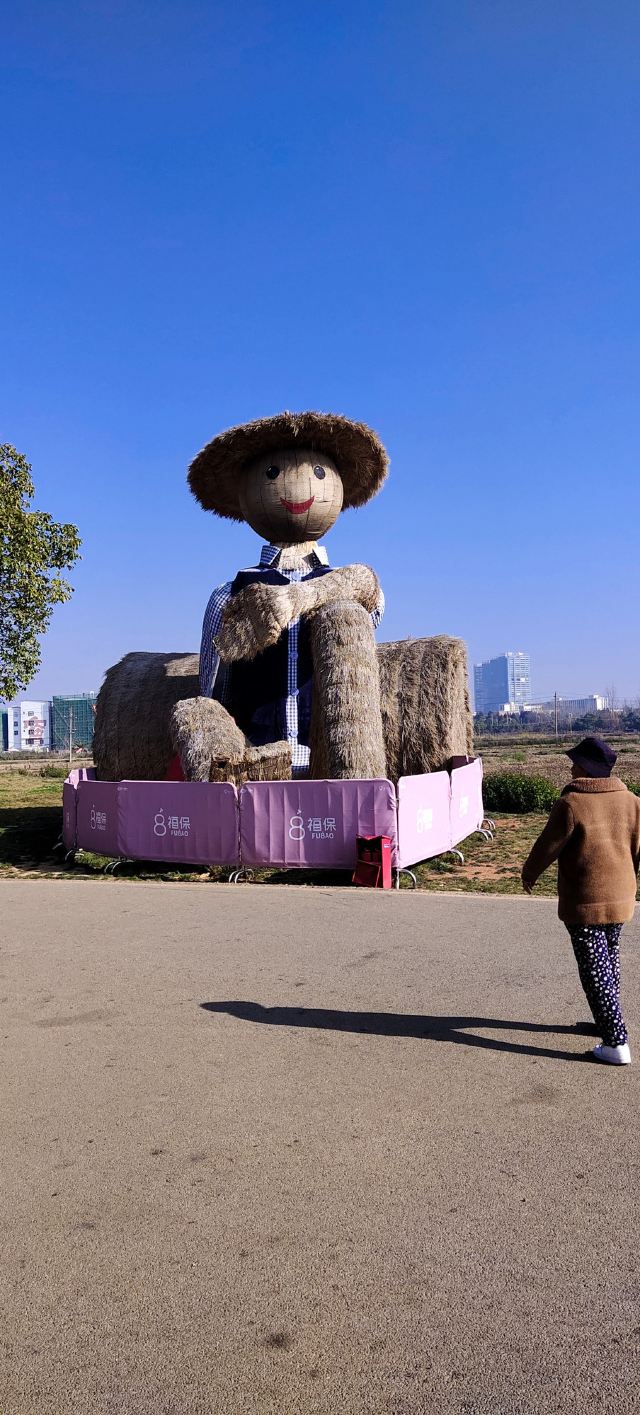 福保小三亚旅行图片 2