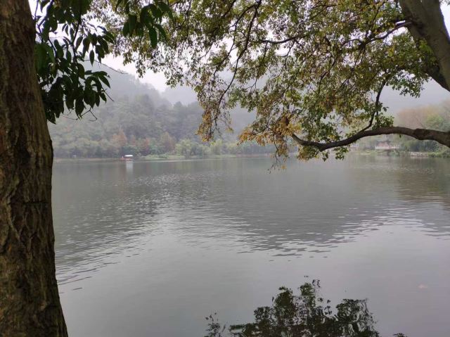 黔灵山公园旅行图片 6