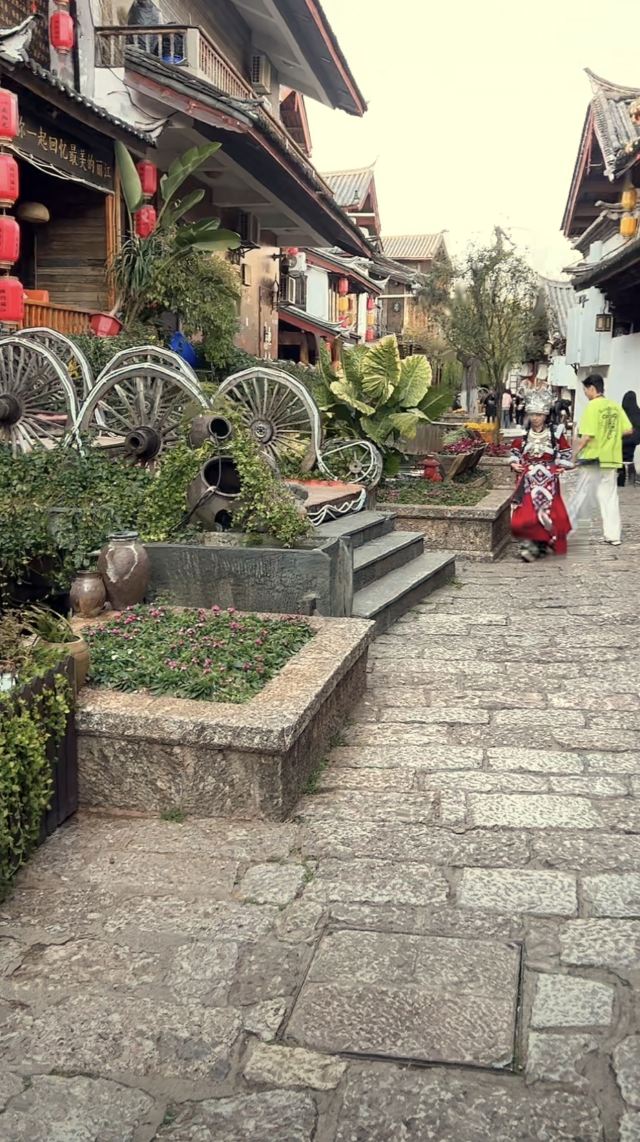 丽江古城旅行图片 6