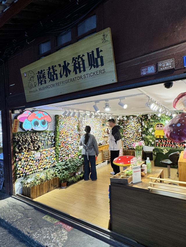 丽江古城旅行图片 10