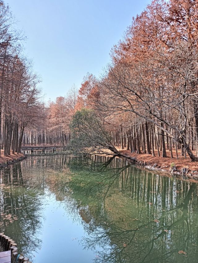 横沔公园旅行图片 13