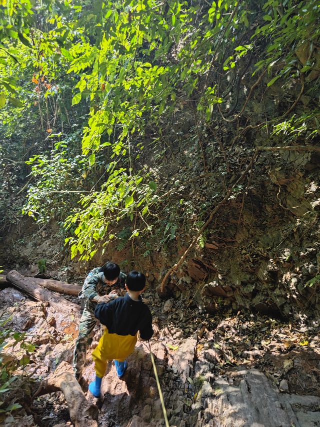 西双版纳纳卡雨林徒步旅行图片 5