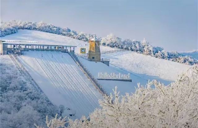 云上草原国际山地旅游度假区旅行图片 3