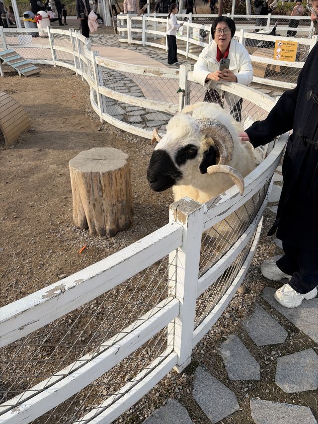 舜山小镇旅行图片 4