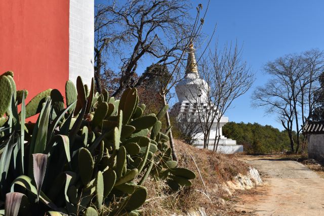 指云寺旅行图片 6
