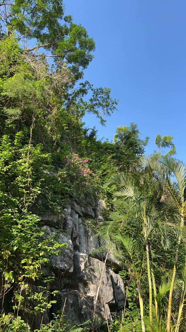 大东海旅游区旅行图片 3
