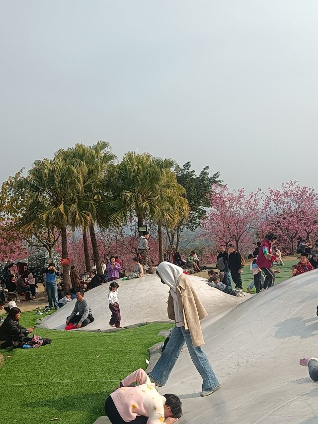 音乐·百花谷旅行图片 5