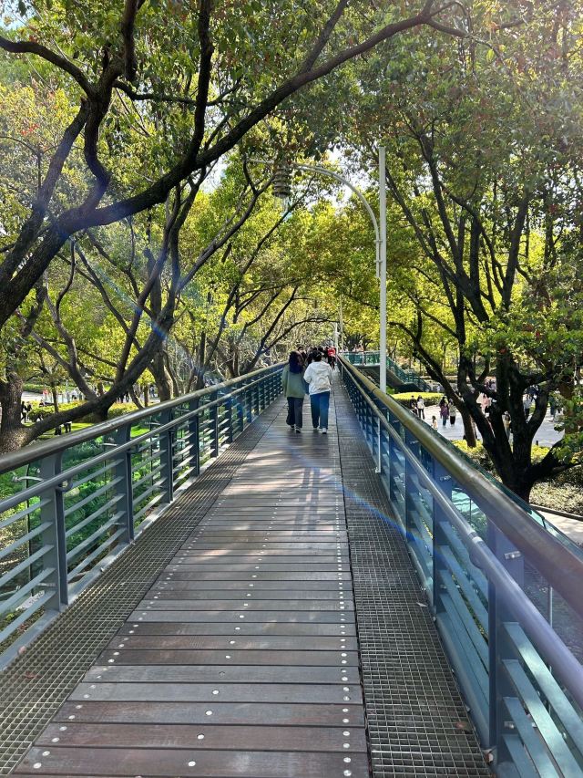 徐家汇公园旅行图片 2