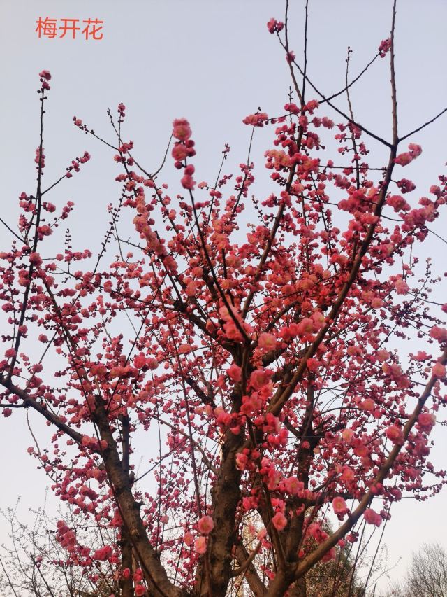 西安城市运动公园旅行图片 2