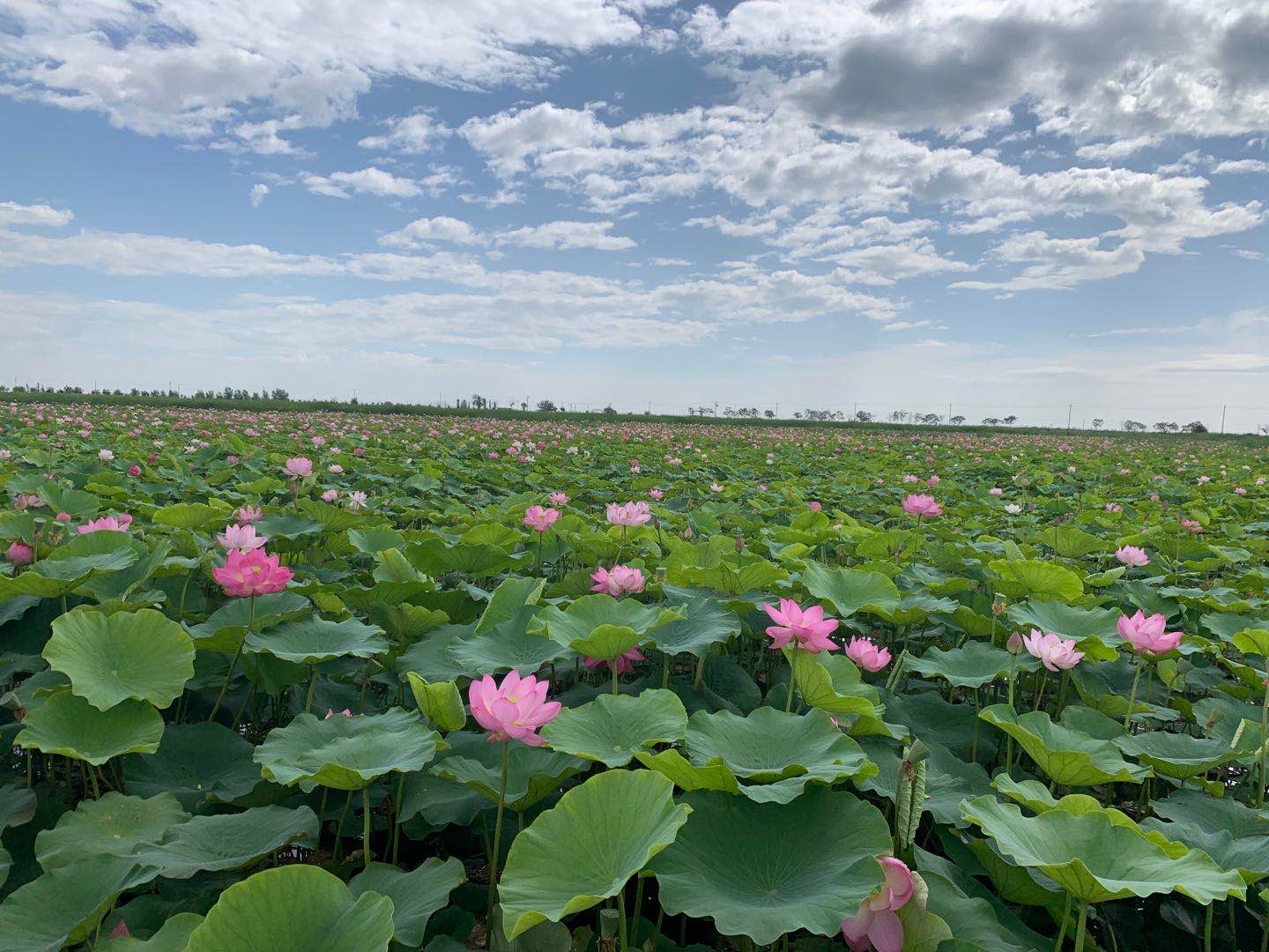 Ningxia Sand Lakes Ecological Tourist Area