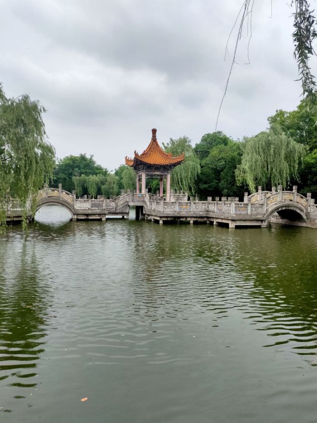 古渡公园旅行图片 11