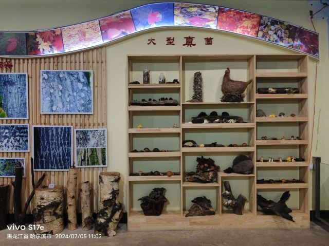 香炉山国家森林公园-自动售卖机旅行图片 15