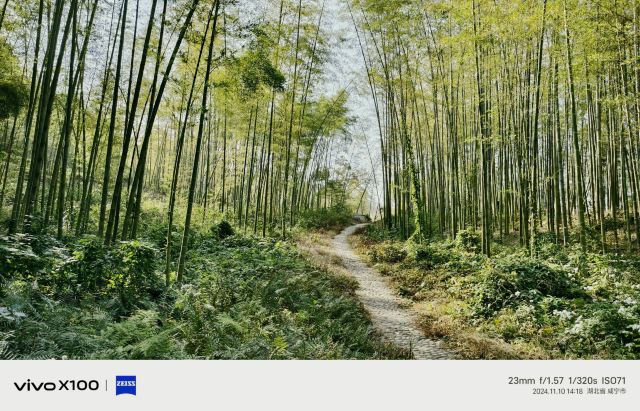 潜山国家森林公园旅行图片 1