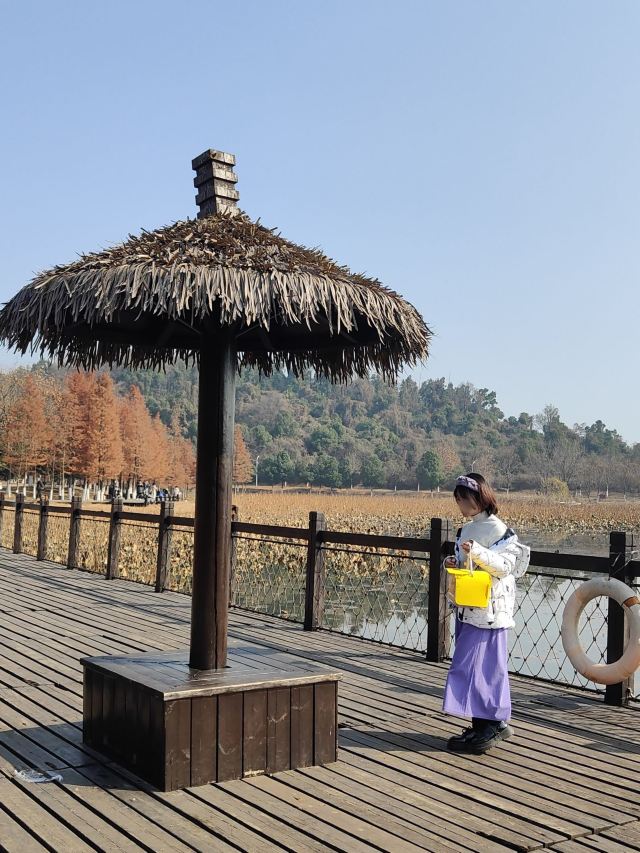 龙灵山生态公园旅行图片 3