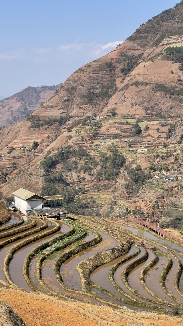 新山梯田旅行图片 2